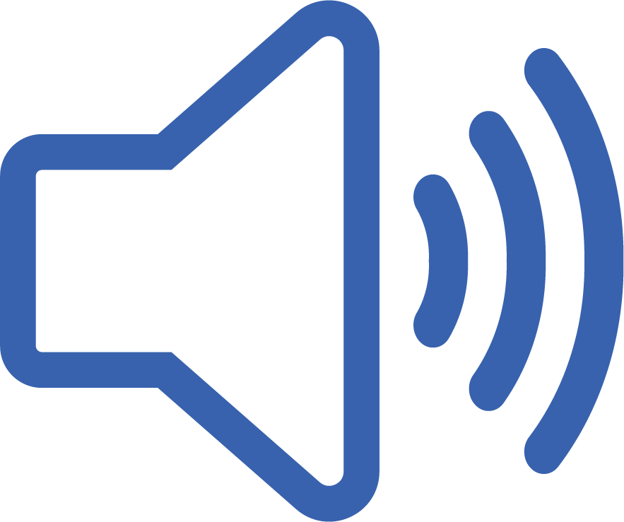 Speaker icon